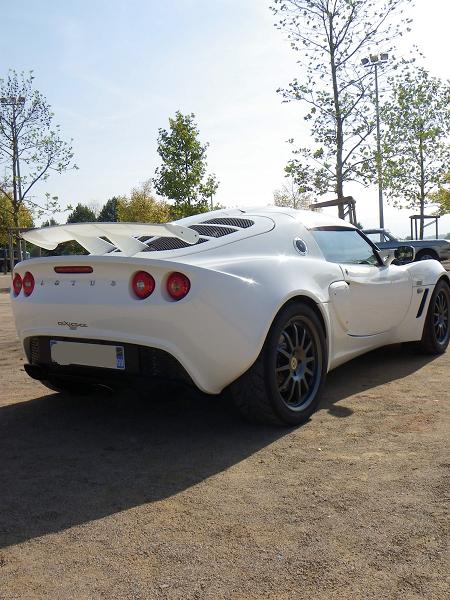 exige BACK.jpg