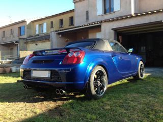 IMG_1318 mr.jpg