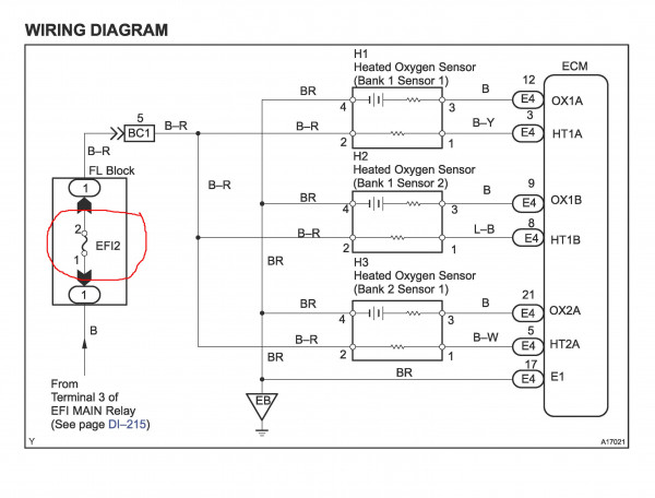 circuit.jpg